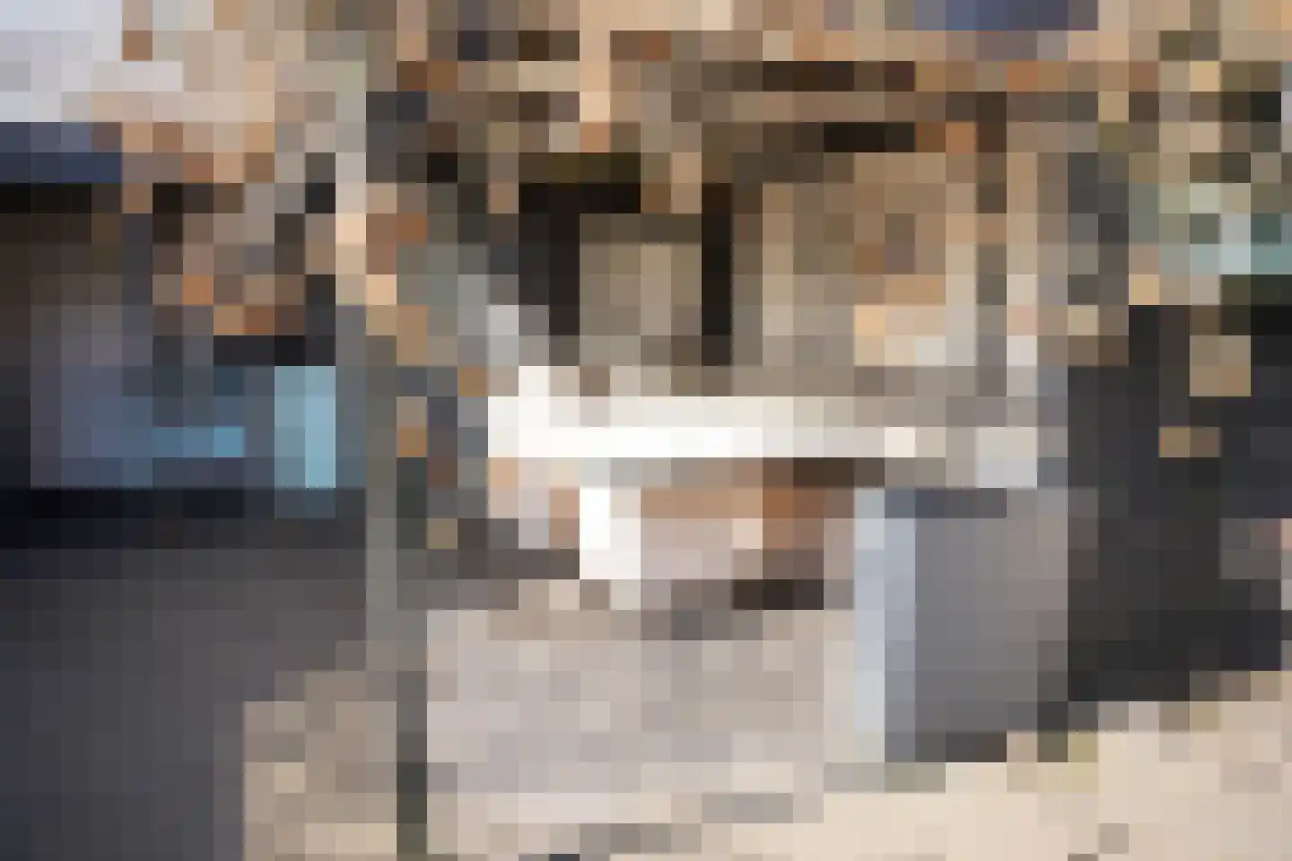 Willemsweg 19 Schoondijke thumbnail 40