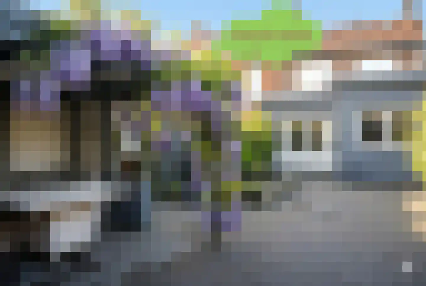 Willemsweg 19 Schoondijke thumbnail 42