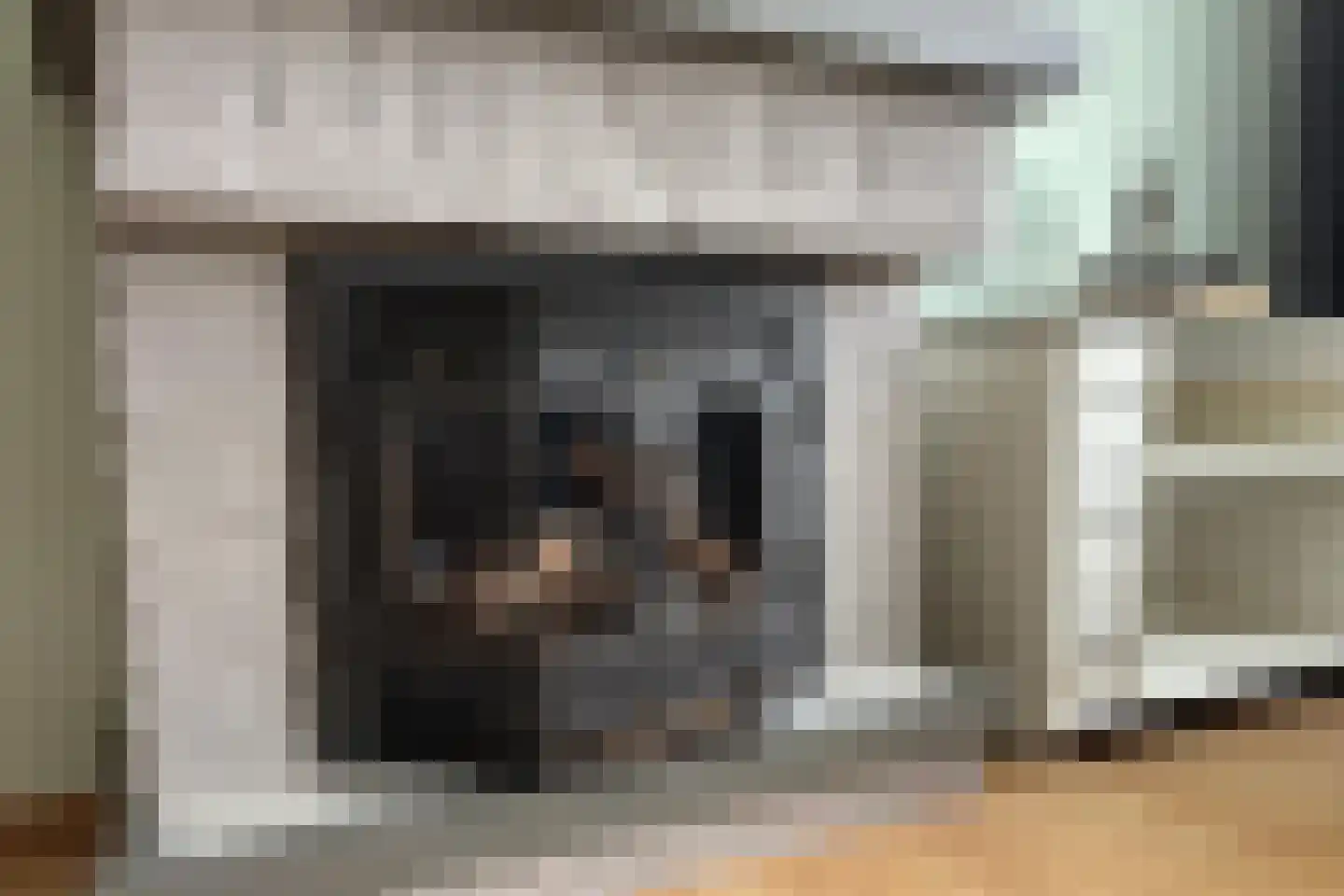 Willemsweg 19 Schoondijke thumbnail 5