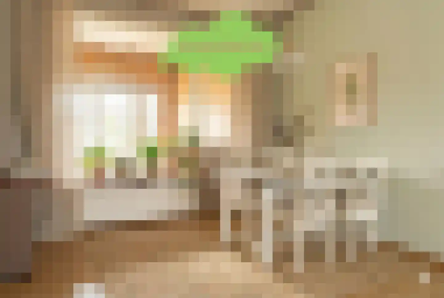 Willemsweg 19 Schoondijke thumbnail 8