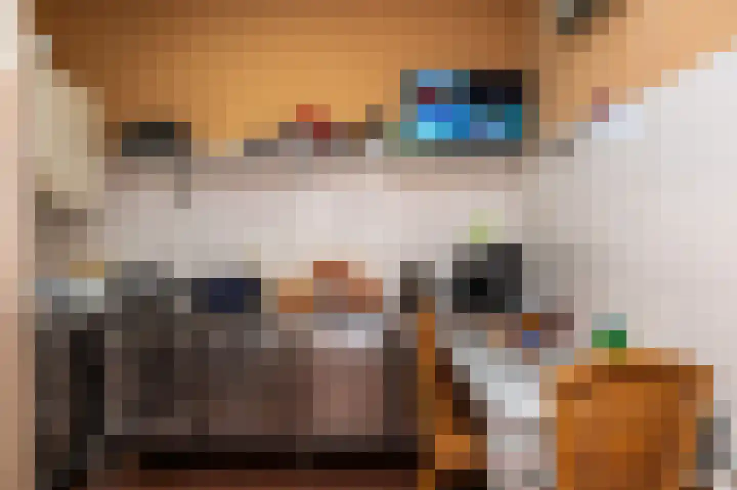 Willemsweg 23 Nijmegen thumbnail 5