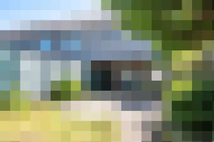 Willemsweg 246 Nijmegen thumbnail 35