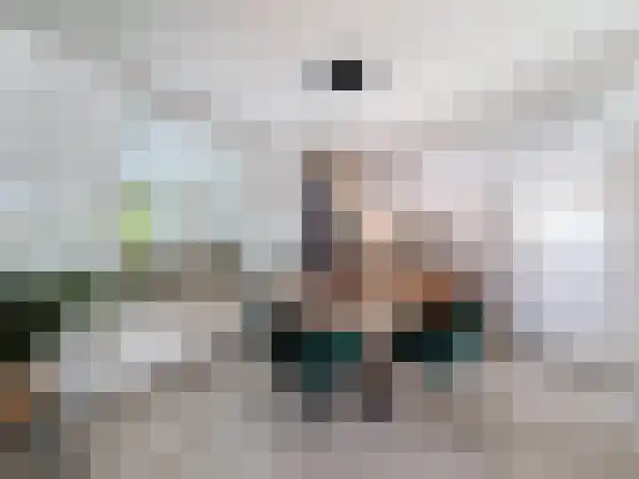 Willemsweg 28 Schoondijke thumbnail 10