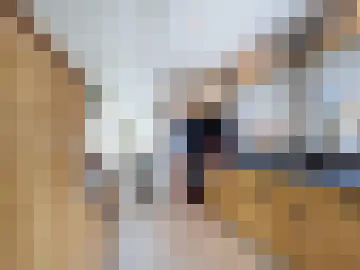Willemsweg 28 Schoondijke thumbnail 12