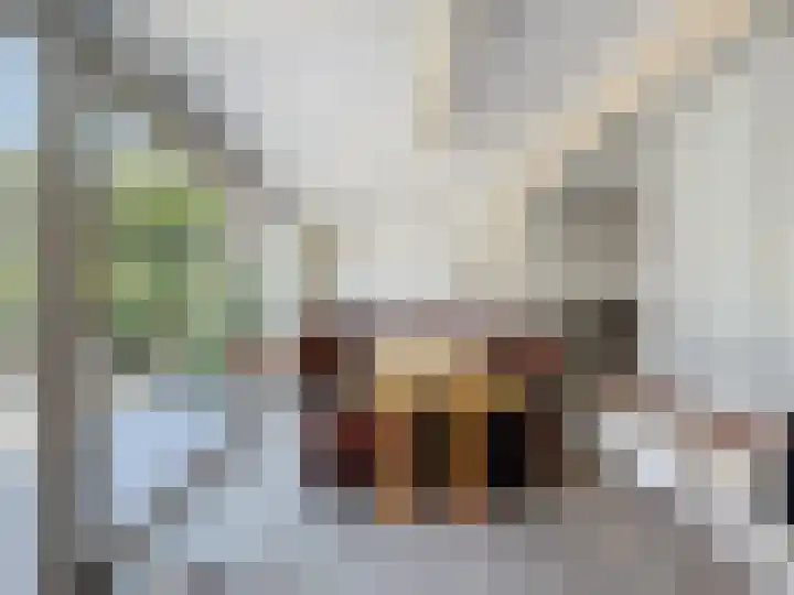 Willemsweg 28 Schoondijke thumbnail 13