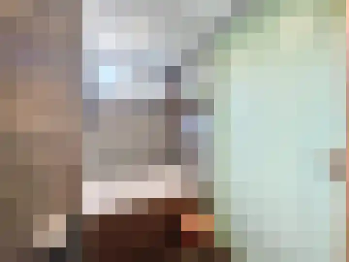 Willemsweg 28 Schoondijke thumbnail 16