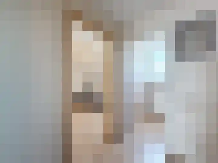 Willemsweg 28 Schoondijke thumbnail 17