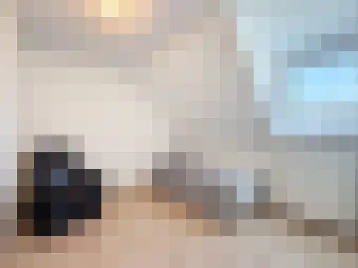 Willemsweg 28 Schoondijke thumbnail 18