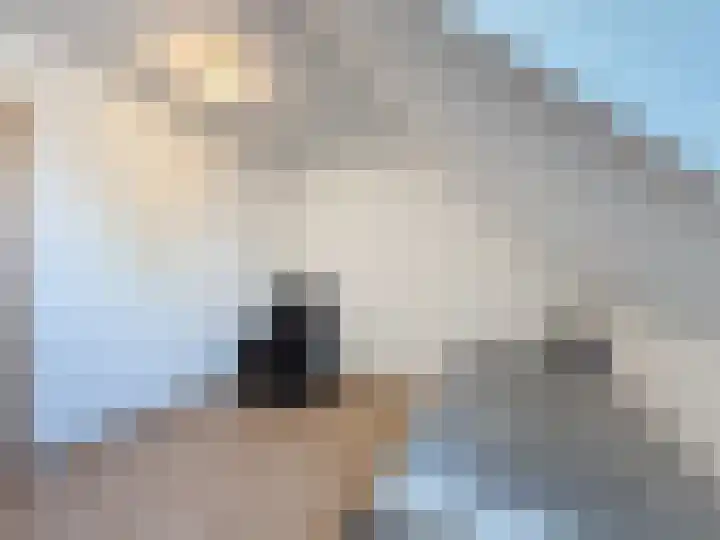 Willemsweg 28 Schoondijke thumbnail 19