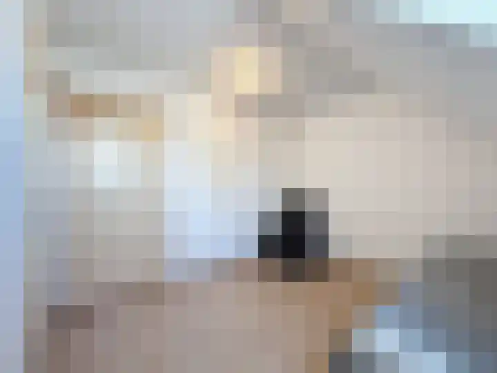 Willemsweg 28 Schoondijke thumbnail 20