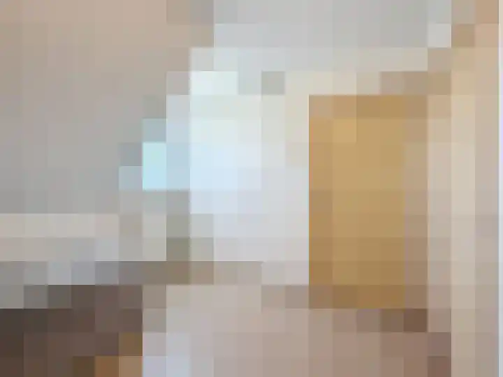 Willemsweg 28 Schoondijke thumbnail 21