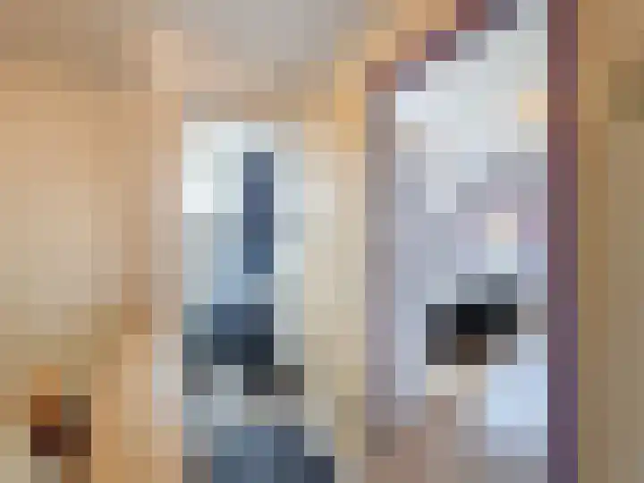 Willemsweg 28 Schoondijke thumbnail 23