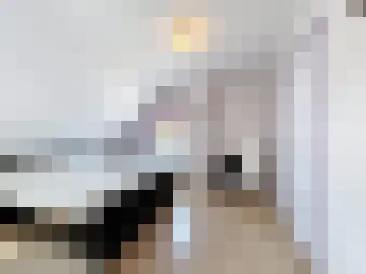 Willemsweg 28 Schoondijke thumbnail 24