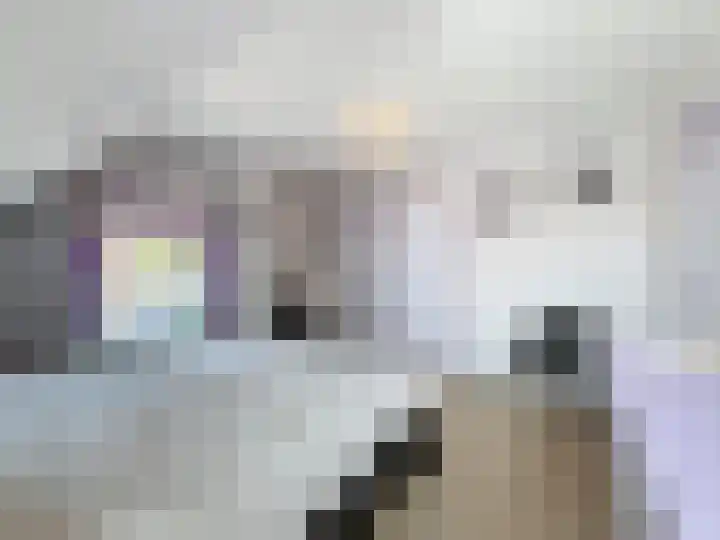 Willemsweg 28 Schoondijke thumbnail 25