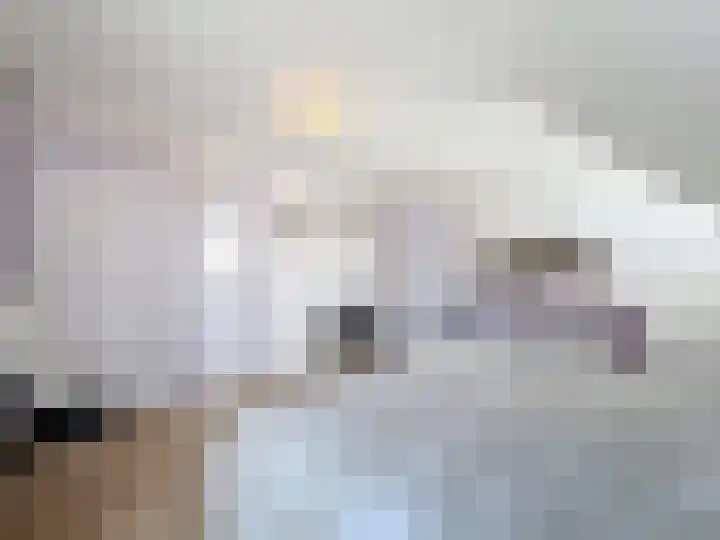 Willemsweg 28 Schoondijke thumbnail 27