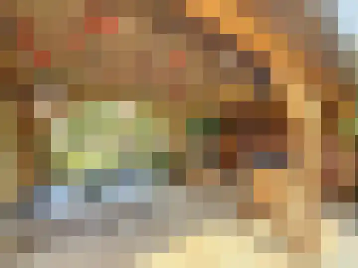 Willemsweg 28 Schoondijke thumbnail 32