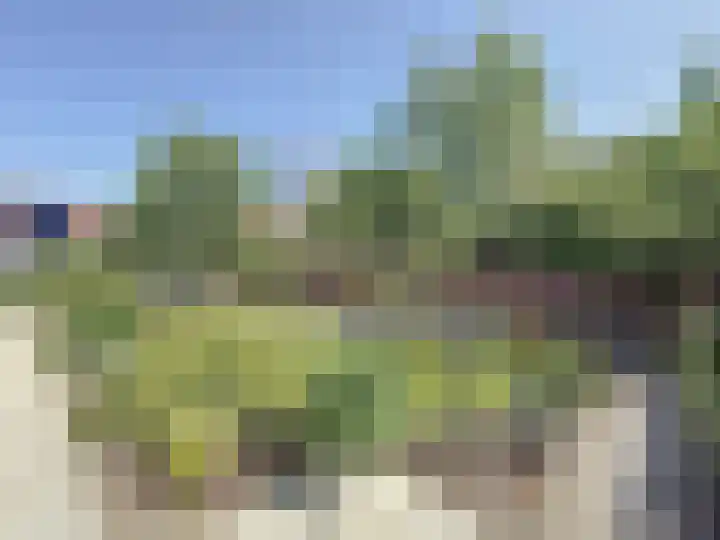 Willemsweg 28 Schoondijke thumbnail 33