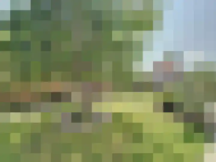 Willemsweg 28 Schoondijke thumbnail 34