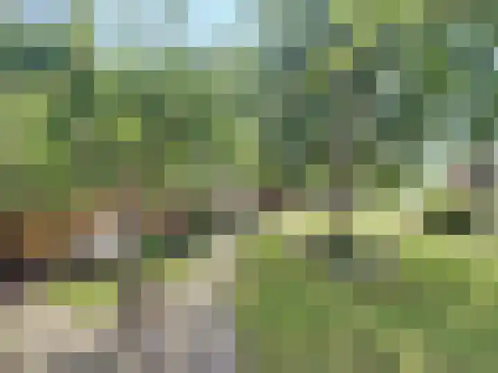 Willemsweg 28 Schoondijke thumbnail 35
