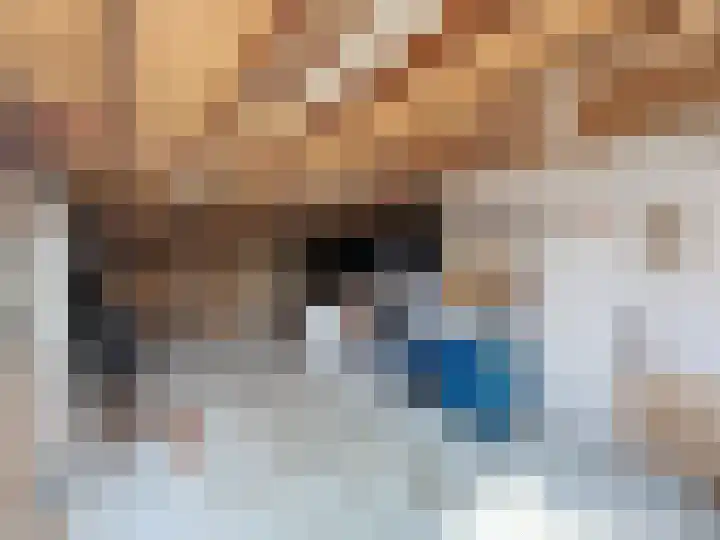 Willemsweg 28 Schoondijke thumbnail 38