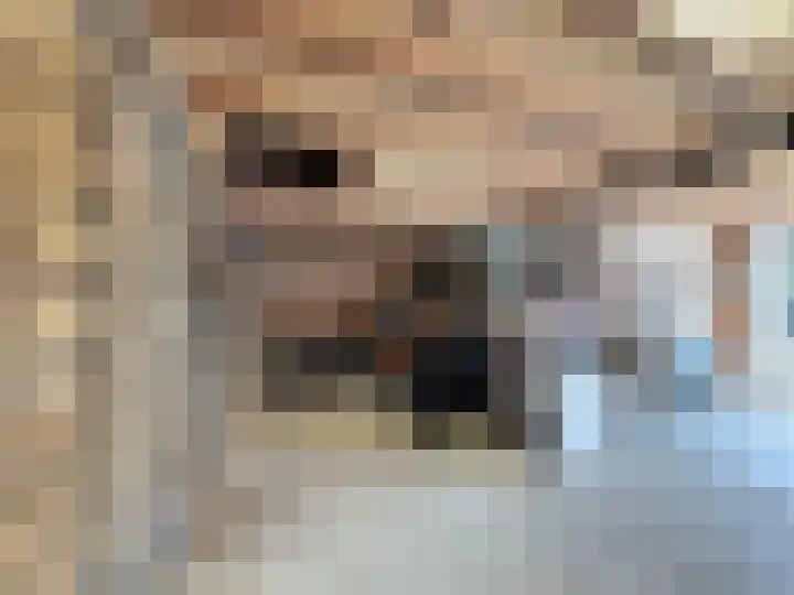 Willemsweg 28 Schoondijke thumbnail 39