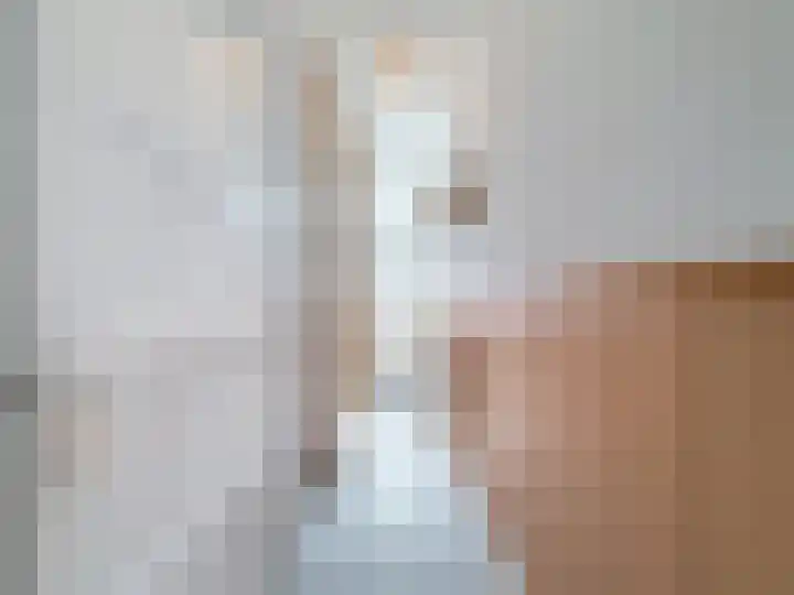 Willemsweg 28 Schoondijke thumbnail 4