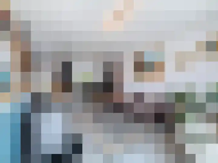 Willemsweg 28 Schoondijke thumbnail 5