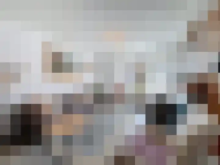Willemsweg 28 Schoondijke thumbnail 8