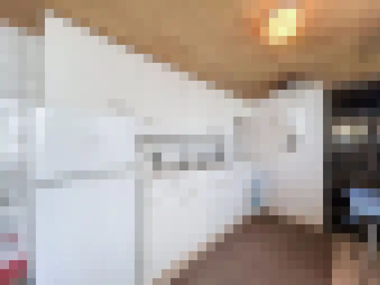 Willemsweg 53 Schoondijke thumbnail 10