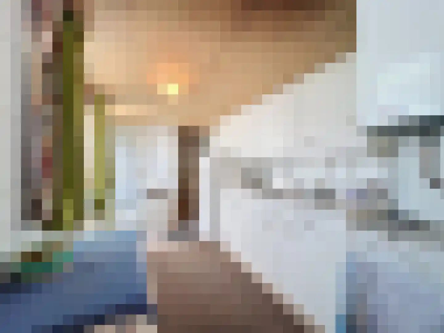 Willemsweg 53 Schoondijke thumbnail 11