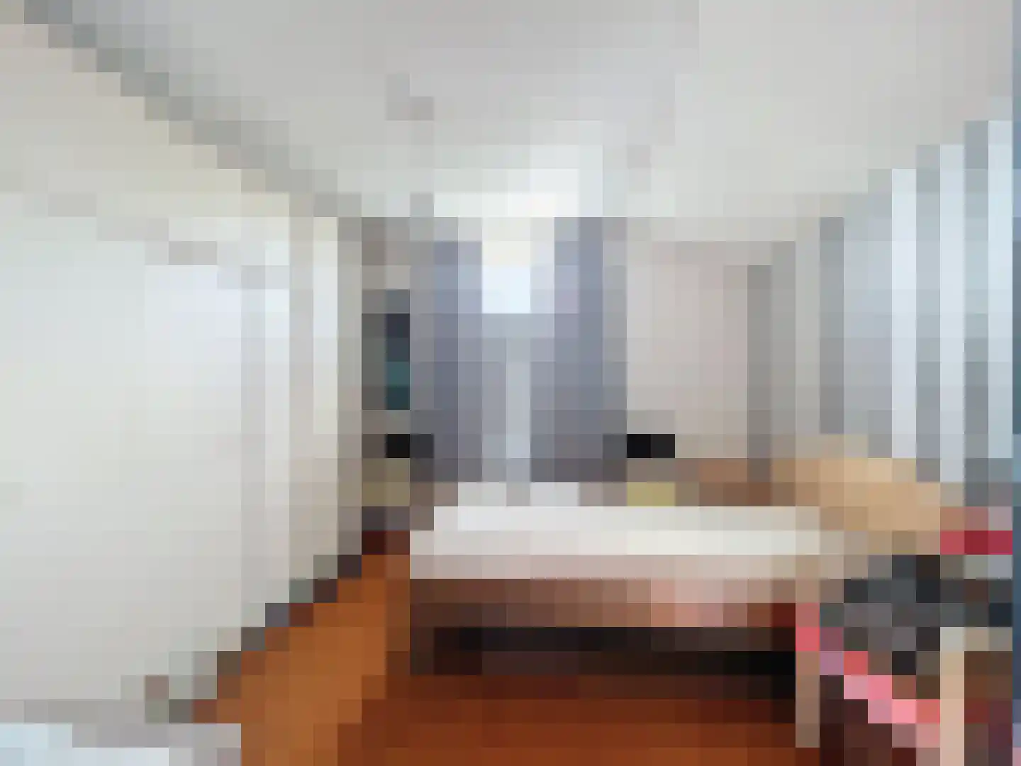 Willemsweg 53 Schoondijke thumbnail 16