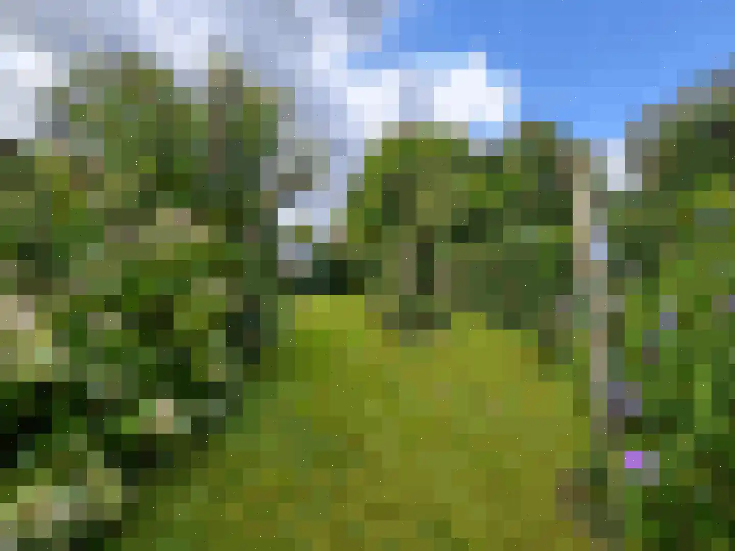 Willemsweg 53 Schoondijke thumbnail 18