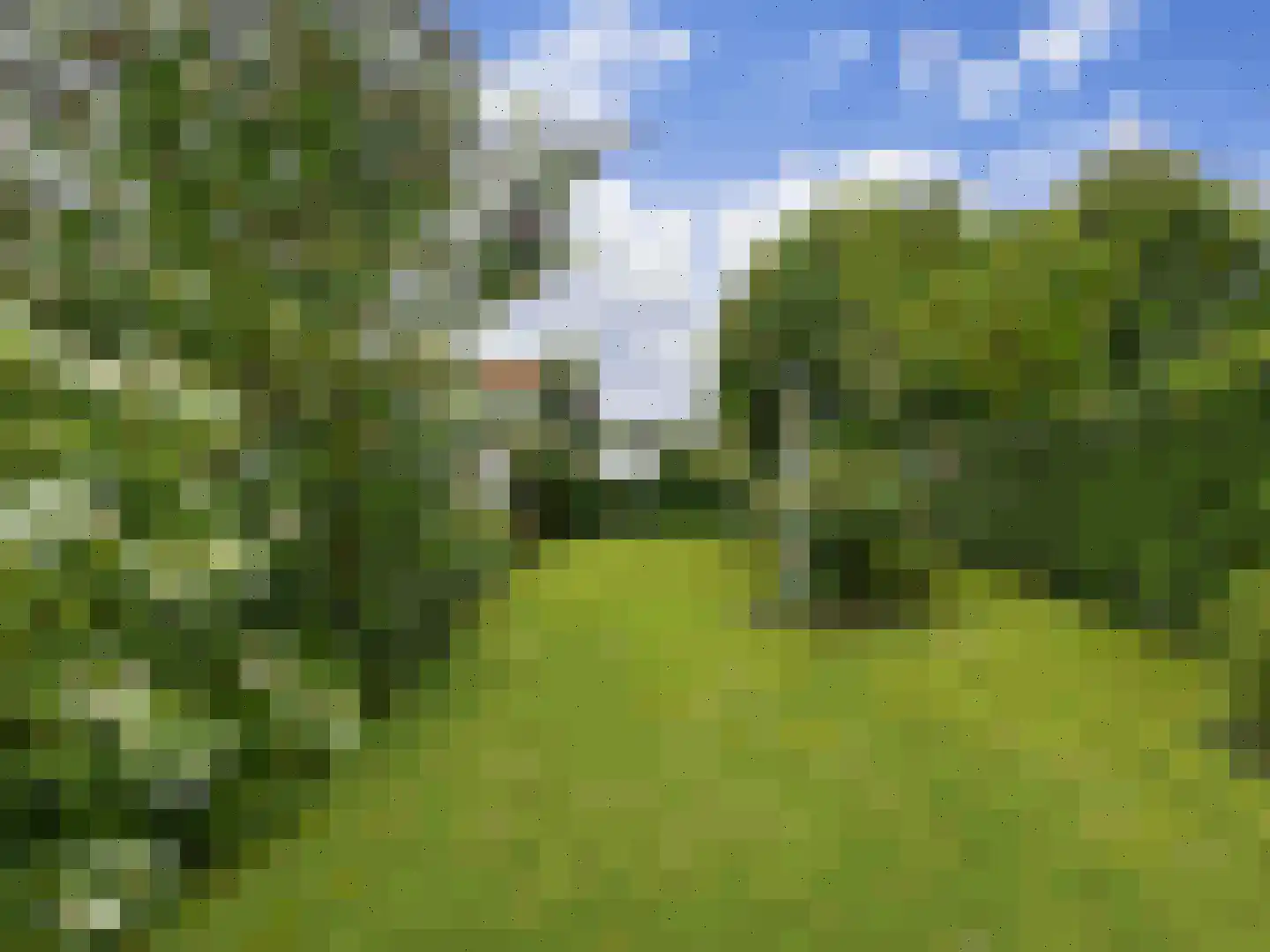Willemsweg 53 Schoondijke thumbnail 19