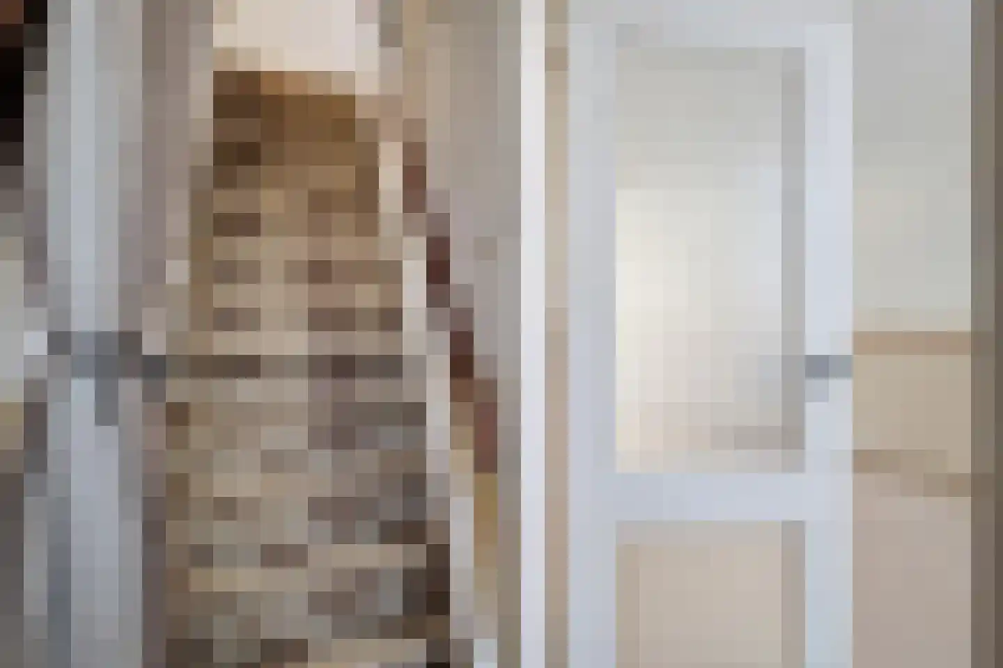 Willemsweg 53 Schoondijke thumbnail 7