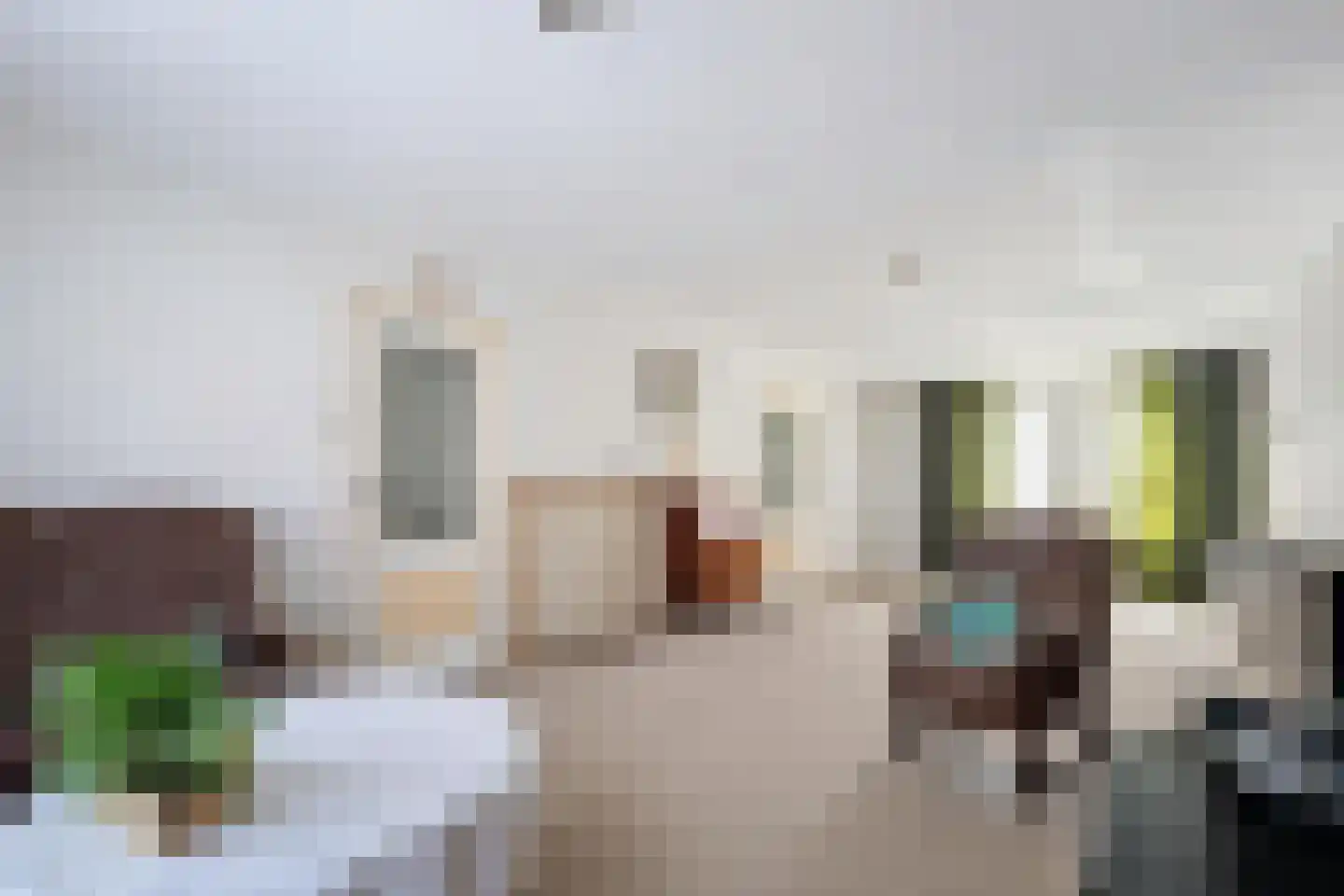 Willemsweg 53 Schoondijke thumbnail 8
