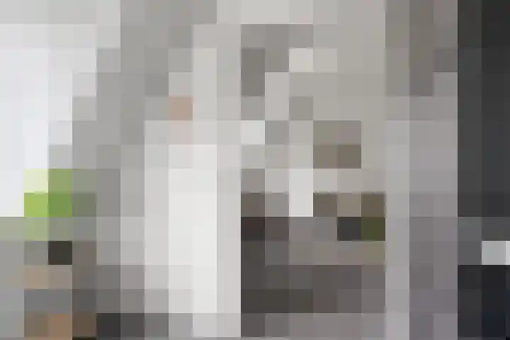 Willemsweg 57 B Nijmegen thumbnail 12