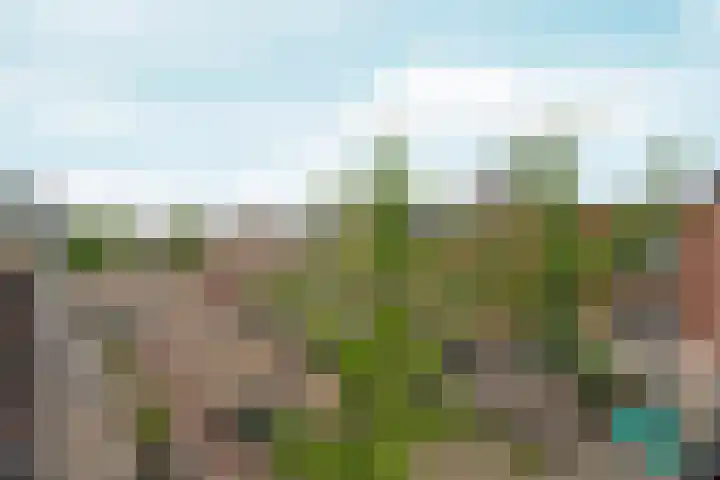 Willemsweg 57 B Nijmegen thumbnail 25