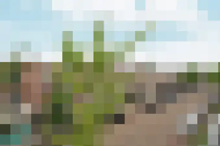 Willemsweg 57 B Nijmegen thumbnail 26