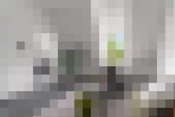 Willemsweg 57 B Nijmegen thumbnail 5