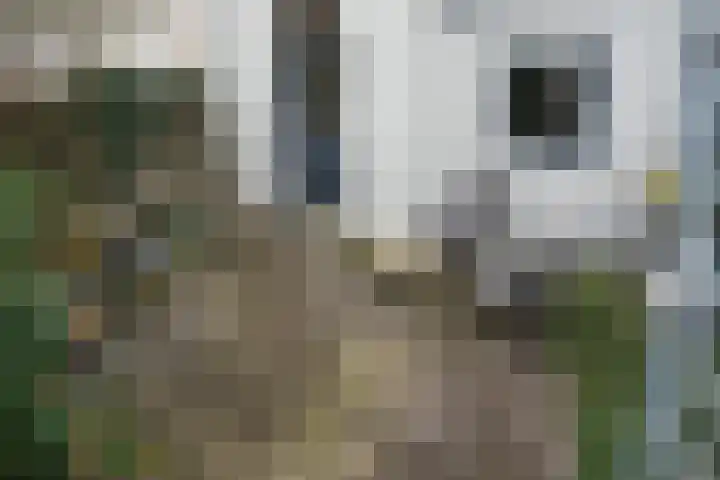 Willemsweg 67 A Nijmegen thumbnail 14