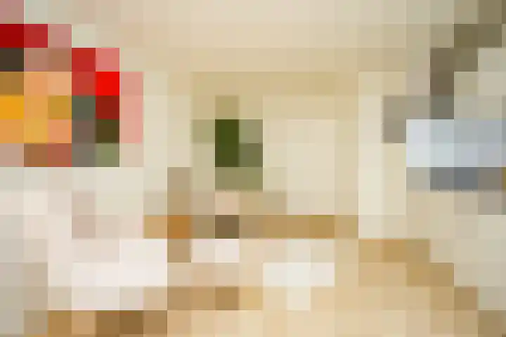 Willemsweg 67 Nijmegen thumbnail 6