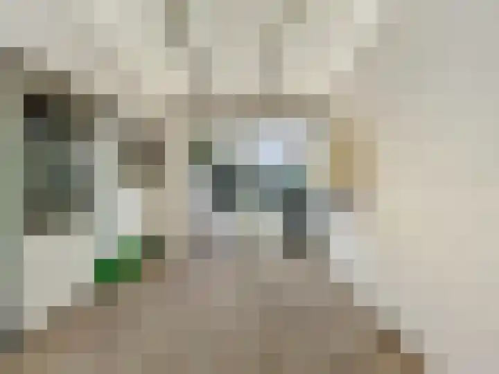 Willemsweg 73 Schoondijke thumbnail 11