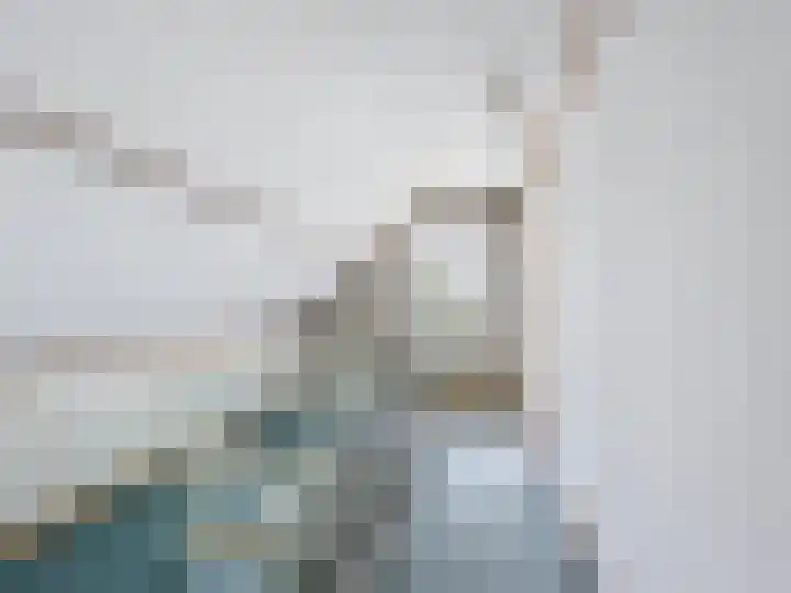 Willemsweg 73 Schoondijke thumbnail 12