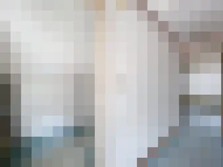 Willemsweg 73 Schoondijke thumbnail 13