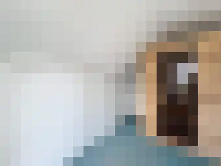 Willemsweg 73 Schoondijke thumbnail 14
