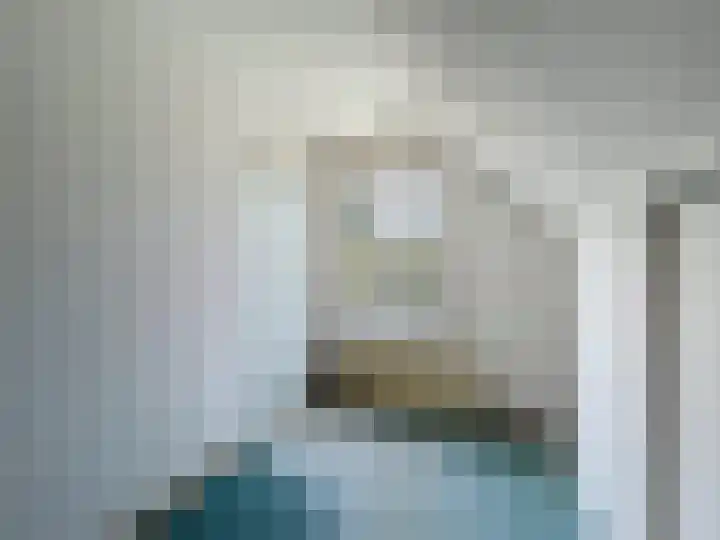 Willemsweg 73 Schoondijke thumbnail 15