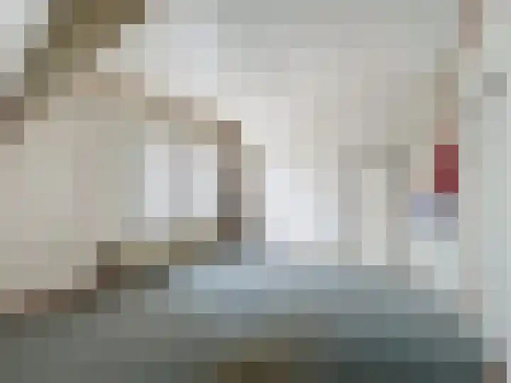 Willemsweg 73 Schoondijke thumbnail 17