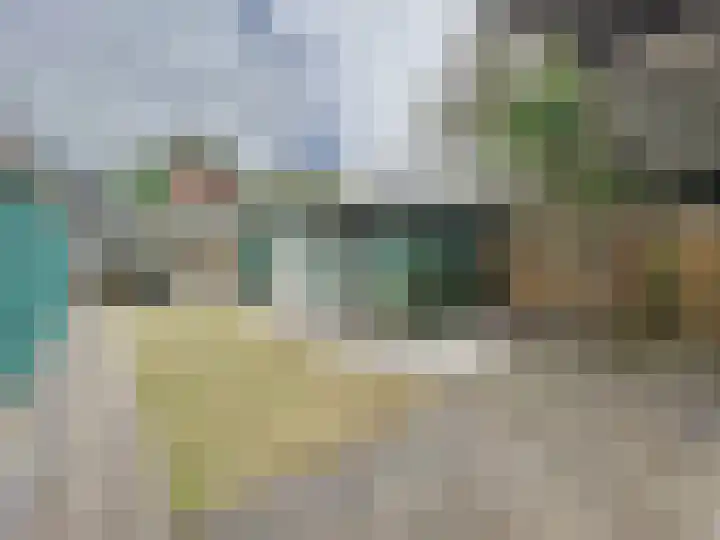 Willemsweg 73 Schoondijke thumbnail 18