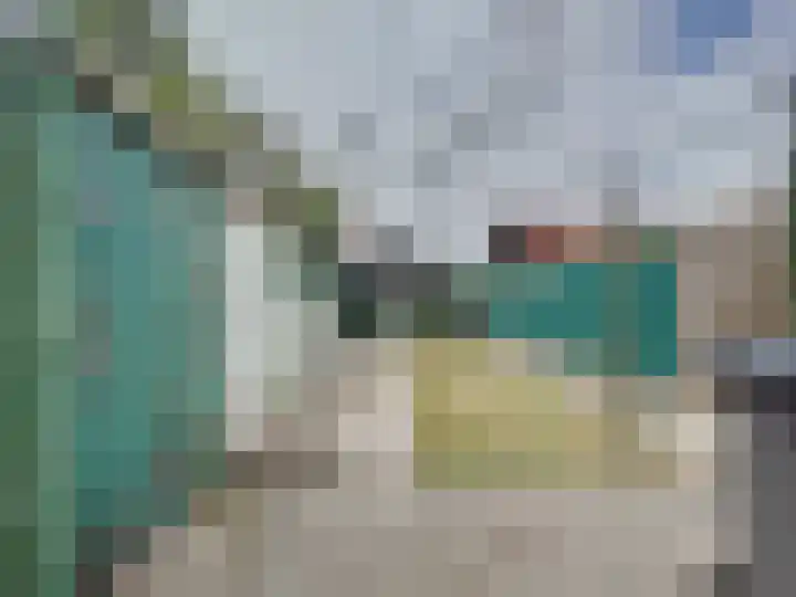 Willemsweg 73 Schoondijke thumbnail 19