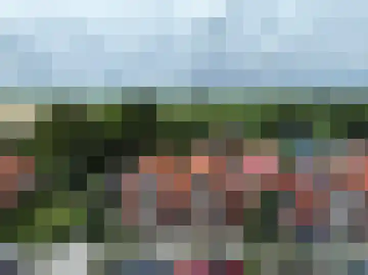 Willemsweg 73 Schoondijke thumbnail 23
